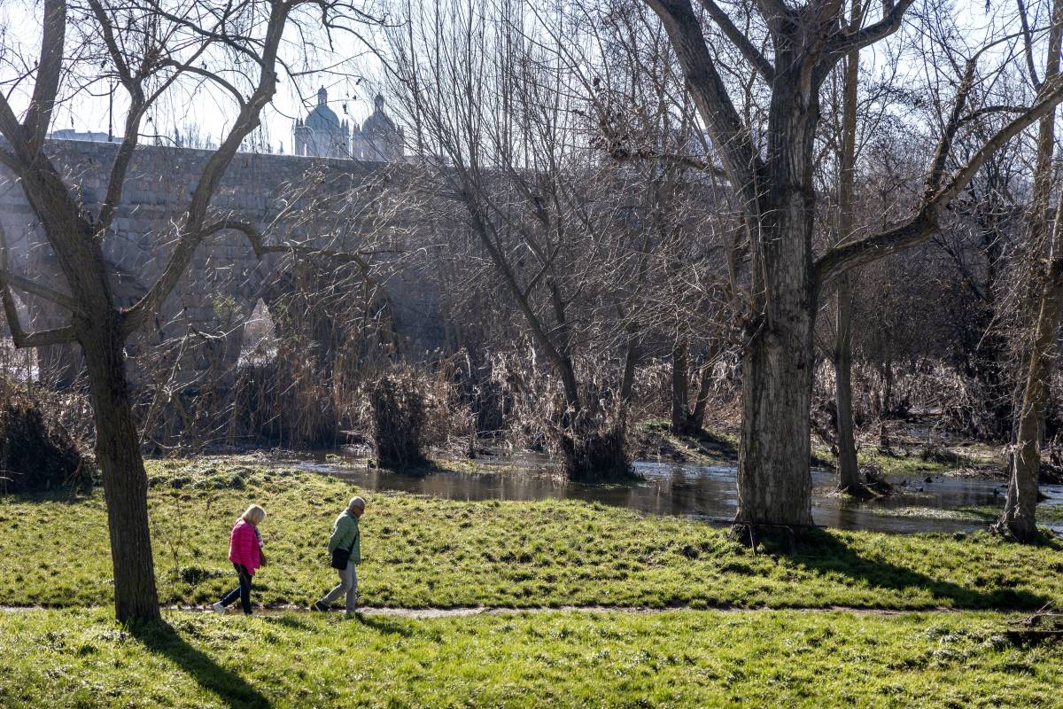 Foto GMS - Suciedad en el río Tormes (2)