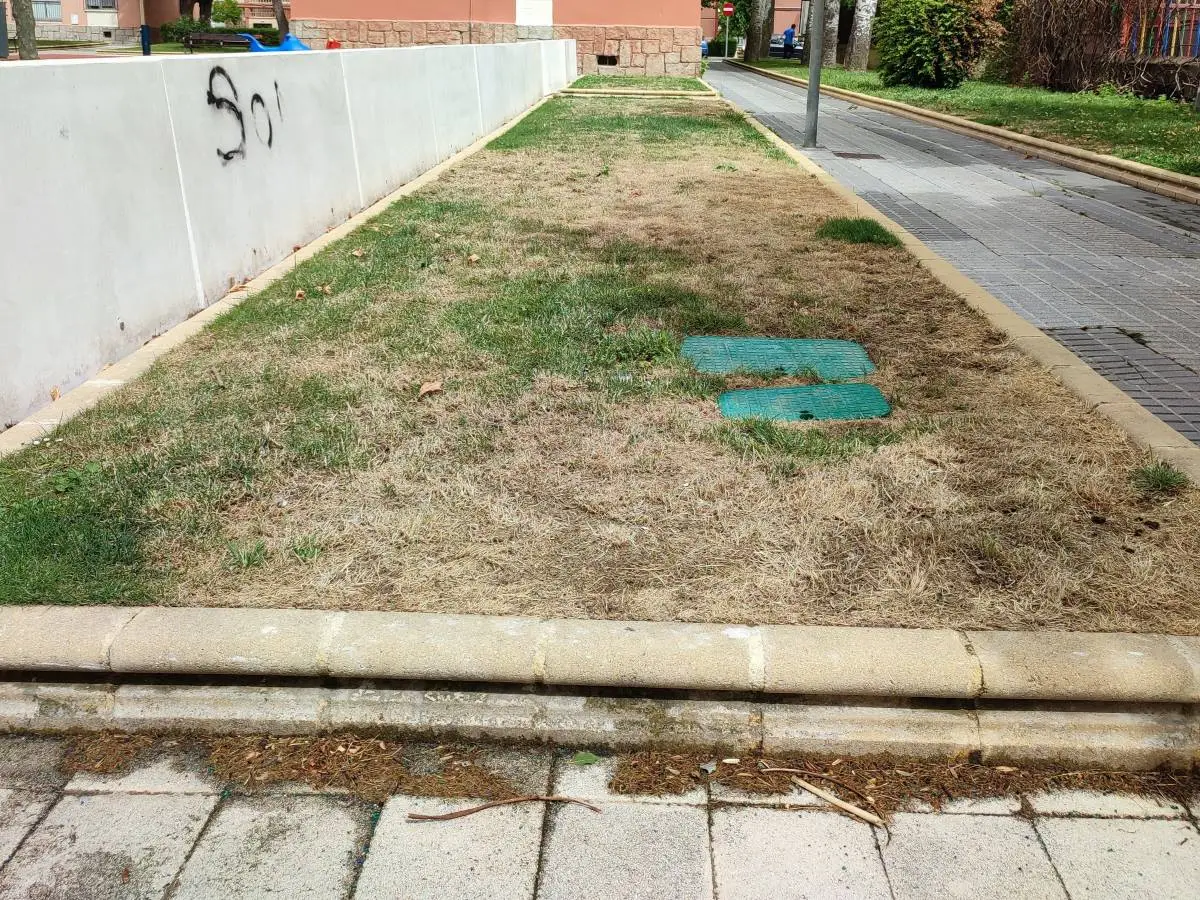 Una zona verde de Salamanca, abandonada | Imagen de archivo