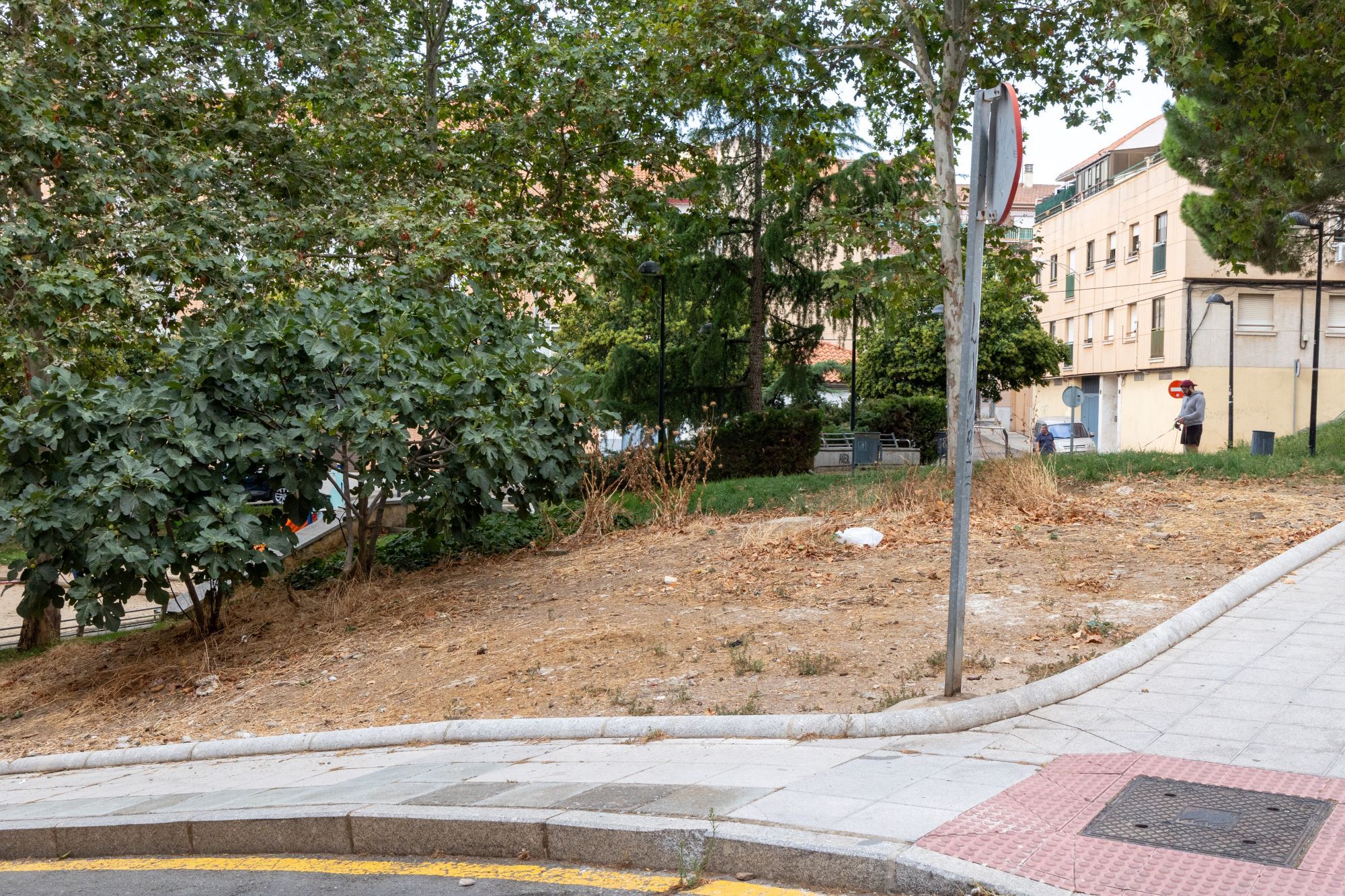 Falta de mantenimiento en una zona verde del barrio de Pizarrales | Foto PSOE