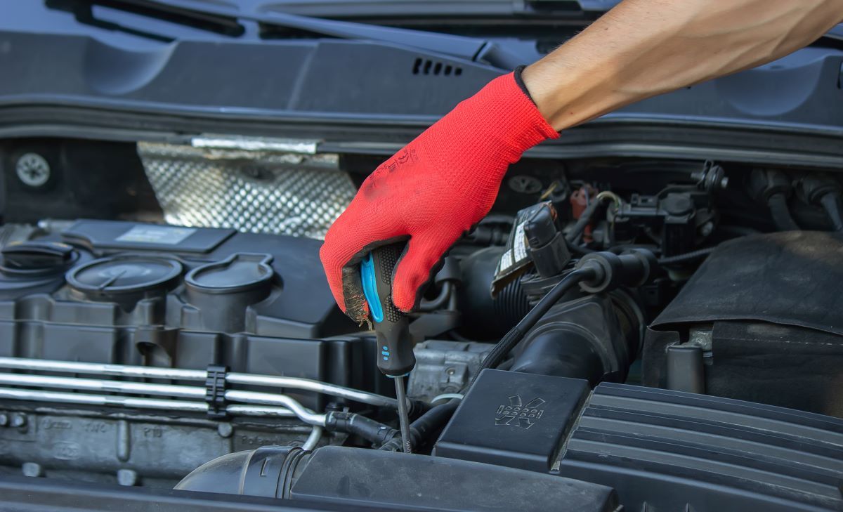 an-auto-mechanic-changing-oil-pours-oil-into-a-car-2025-03-16-01-01-10-utc
